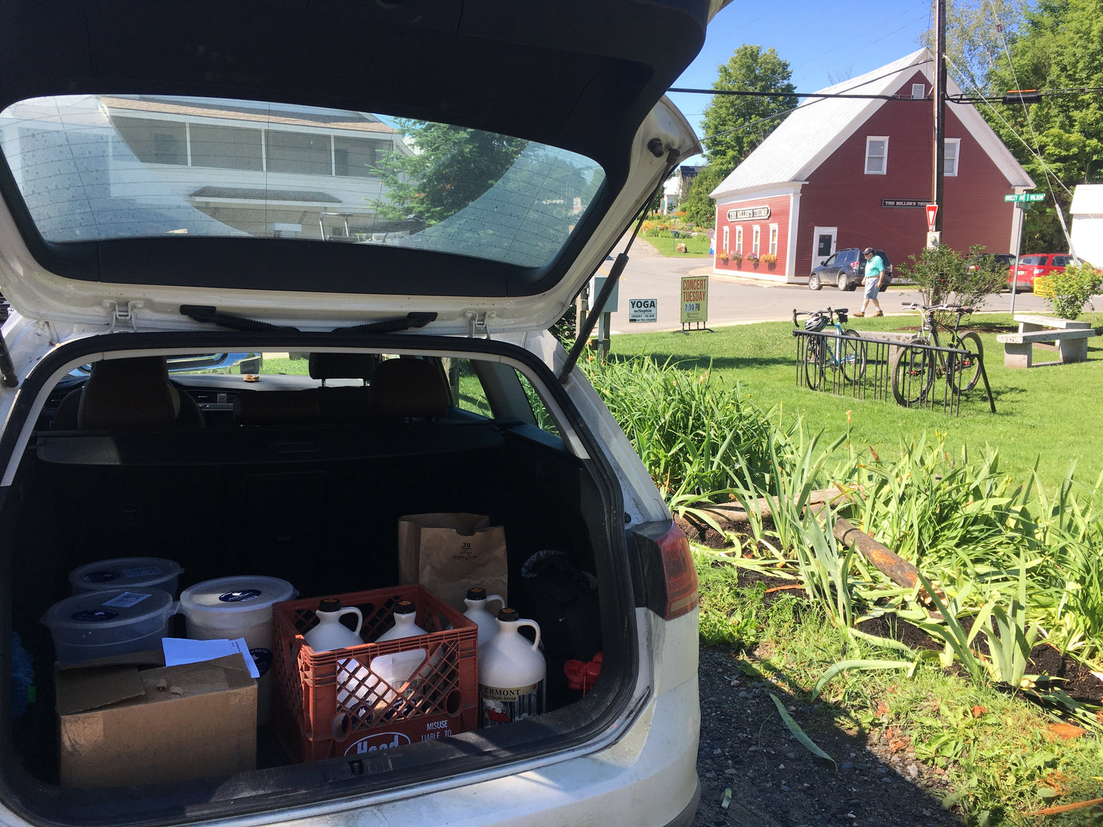 Buy maple this summer