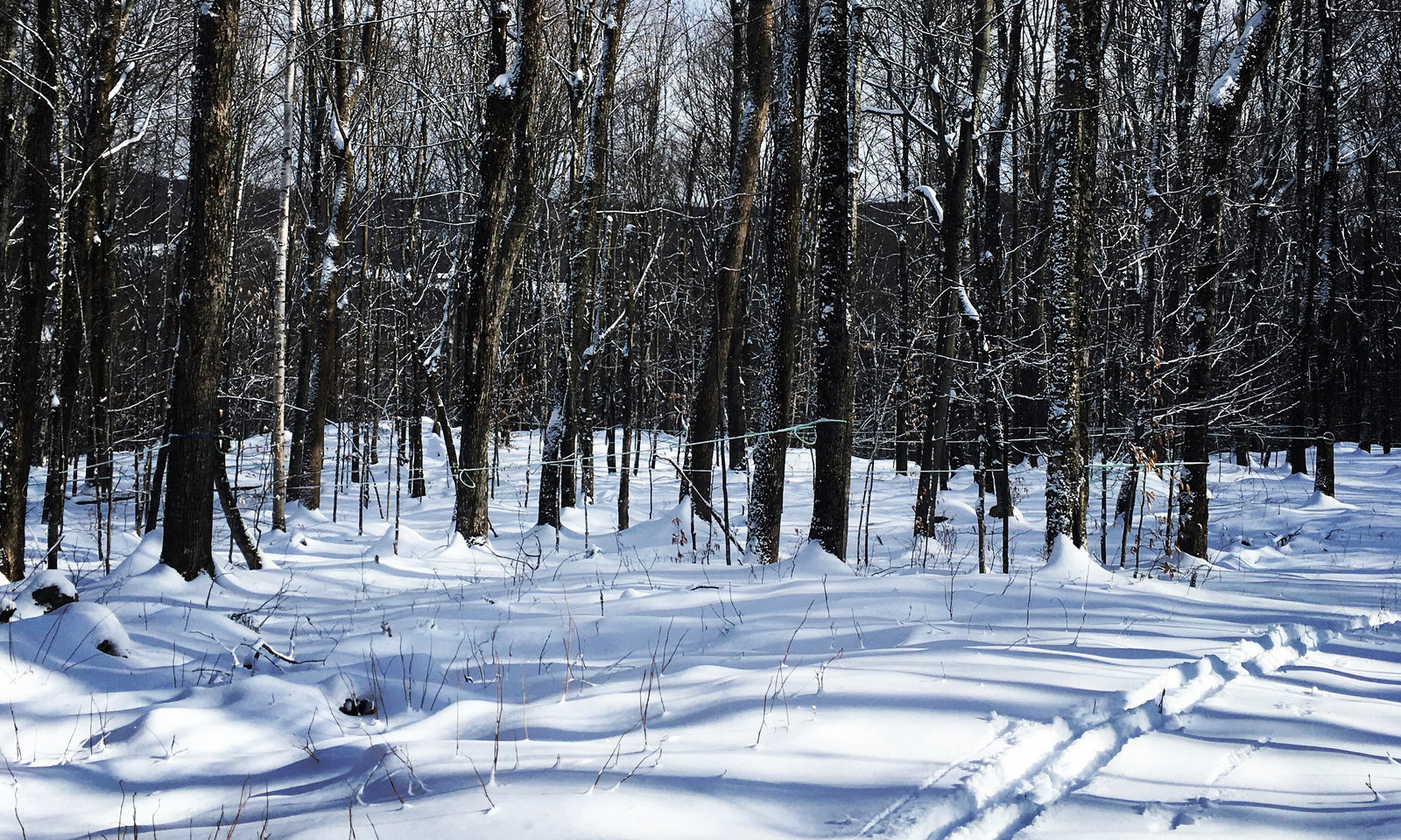 Early winter in Vermont