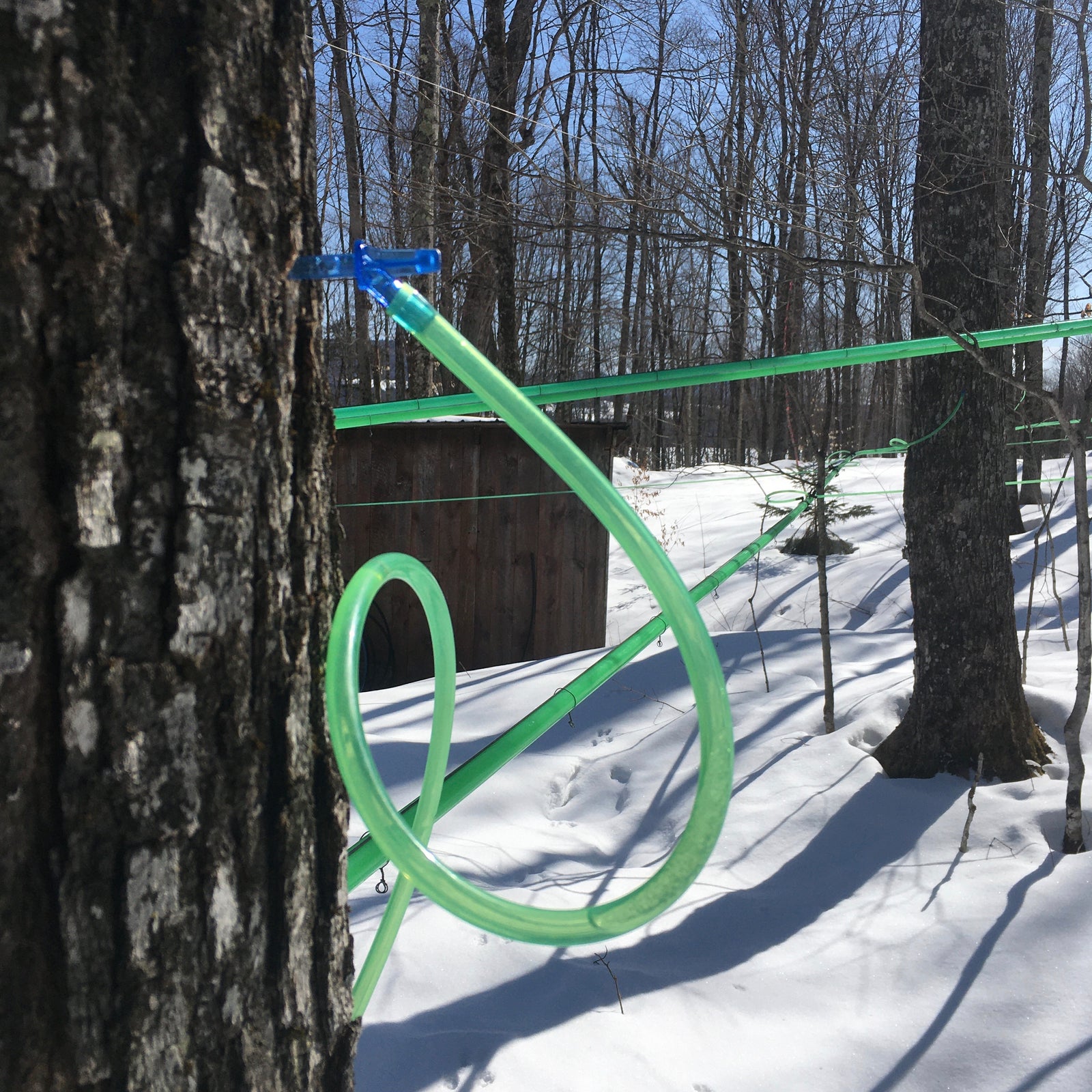 Living during COVID19 quarantine